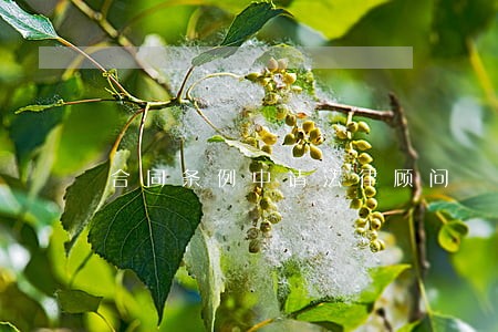 合同条例中请法律顾问 合同条例中请法律顾问