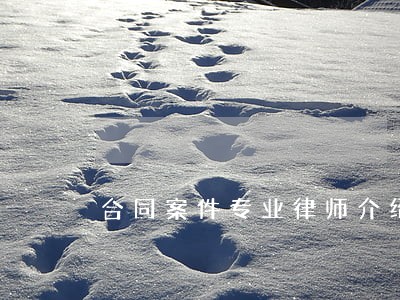 合同案件专业律师介绍 合同案件专业律师介绍