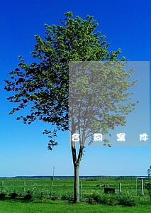 合同案件律师法律咨询 合同案件律师法律咨询