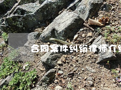 合同案件纠纷律师介绍 合同案件纠纷律师介绍