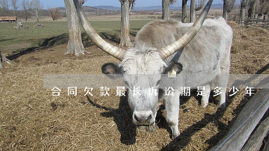 合同欠款最长诉讼期是多少年 合同欠款最长诉讼期是多少年