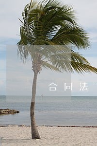 合同法161条确定逾期付款 合同法161条确定逾期付款