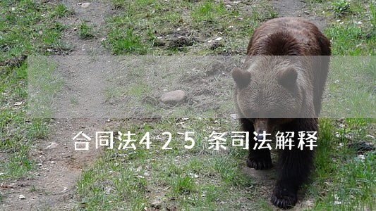 合同法425条司法解释 合同法425条司法解释
