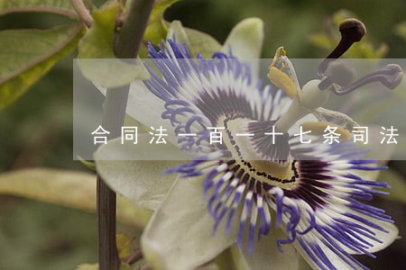 合同法一百一十七条司法解释 合同法一百一十七条司法解释