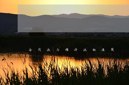 合同法与经济法的适用 合同法与经济法的适用
