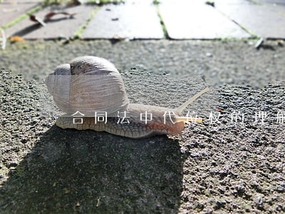 合同法中代位权的理解 合同法中代位权的理解
