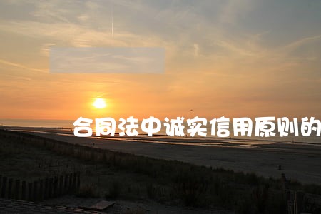 合同法中诚实信用原则的理论分析