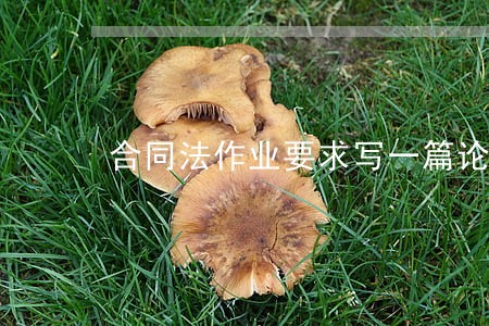 合同法作业要求写一篇论文 合同法作业要求写一篇论文