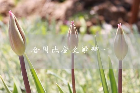 合同法全文解释一 合同法全文解释一