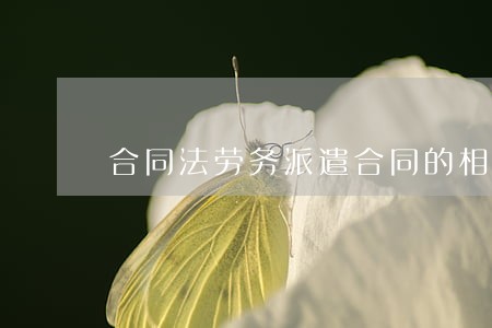 合同法劳务派遣合同的相关规定 合同法劳务派遣合同的相关规定