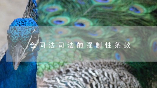 合同法司法的强制性条款 合同法司法的强制性条款
