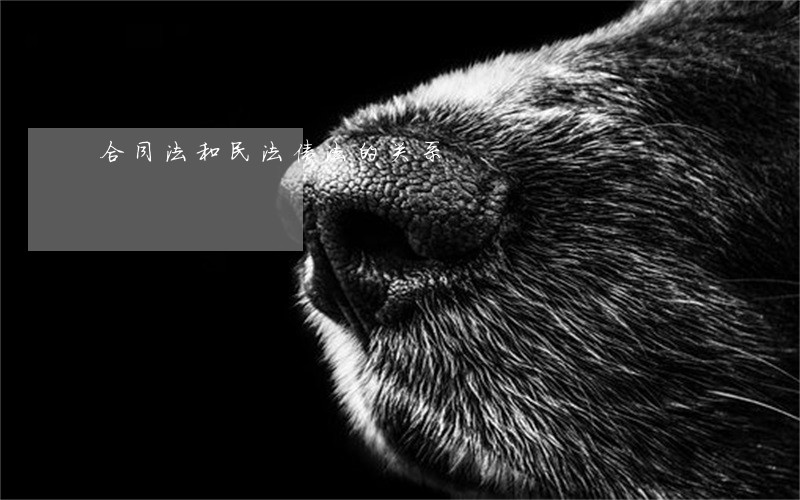 合同法和民法债法的关系 合同法和民法债法的关系