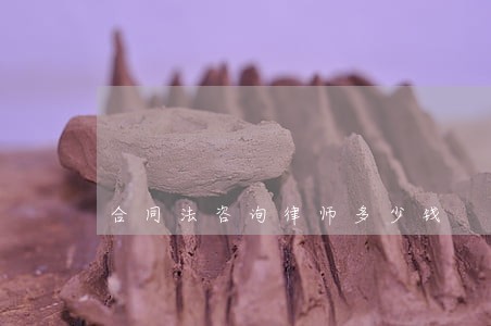合同法咨询律师多少钱 合同法咨询律师多少钱