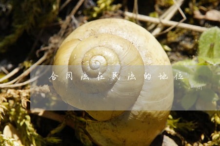 合同法在民法的地位 合同法在民法的地位