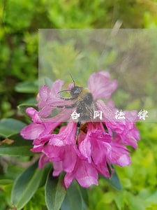 合同法律关系包括的要素有 合同法律关系包括的要素有
