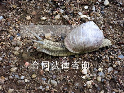 合同法律咨询 合同法律咨询