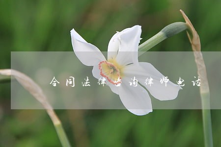 合同法律咨询律师电话 合同法律咨询律师电话