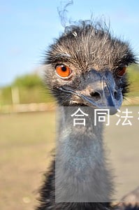 合同法律意见书报价 合同法律意见书报价
