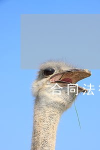 合同法律顾问的作用 合同法律顾问的作用