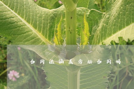 合同法涵盖劳动合同吗 合同法涵盖劳动合同吗