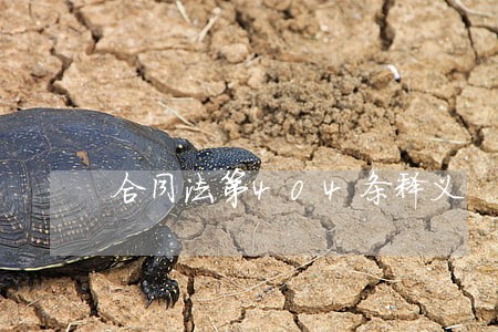 合同法第404条释义 合同法第404条释义