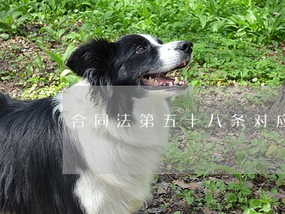合同法第五十八条对应民法典