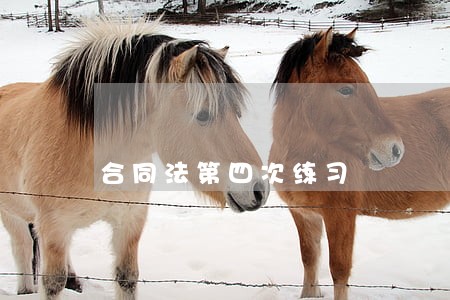 合同法第四次练习