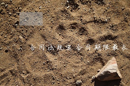 合同法规定合同期限最长多少