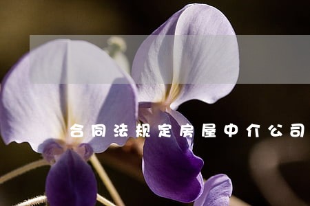 合同法规定房屋中介公司
