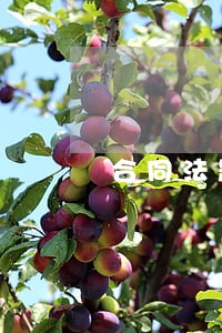 合同法题库2 合同法题库2