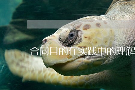 合同目的在实践中的理解 合同目的在实践中的理解