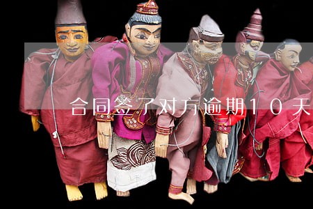 合同签了对方逾期10天付款 合同签了对方逾期10天付款