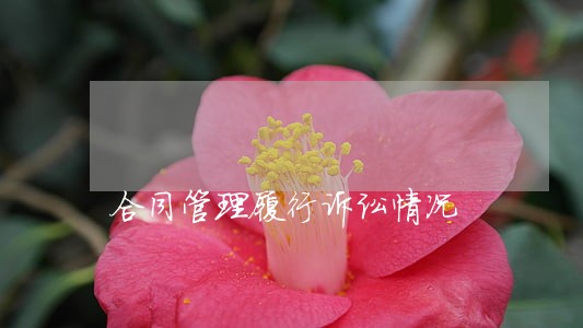 合同管理履行诉讼情况 合同管理履行诉讼情况