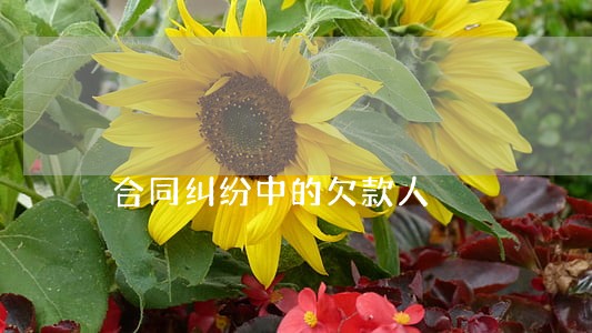 合同纠纷中的欠款人 合同纠纷中的欠款人