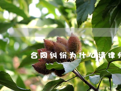 合同纠纷为什么请律师 合同纠纷为什么请律师