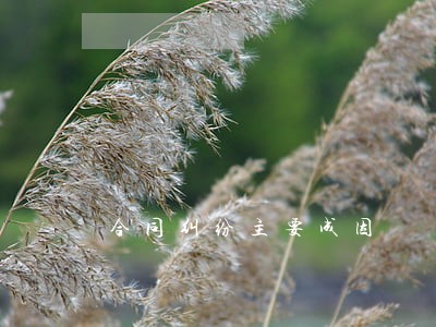 合同纠纷主要成因 合同纠纷主要成因