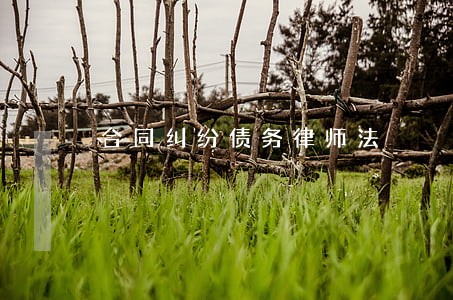 合同纠纷债务律师法 合同纠纷债务律师法