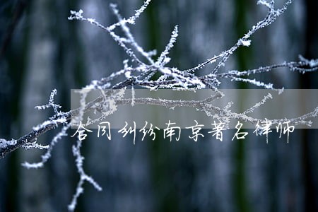 合同纠纷南京著名律师 合同纠纷南京著名律师