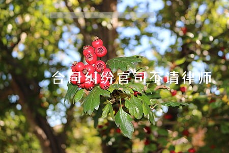 合同纠纷官司不请律师