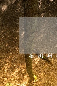 合同纠纷对方拖延履行怎么办 合同纠纷对方拖延履行怎么办