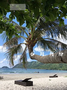 合同纠纷强制执行书范本 合同纠纷强制执行书范本
