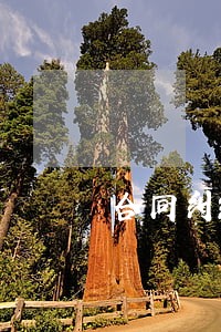 合同纠纷律师免费咨询 合同纠纷律师免费咨询