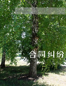 合同纠纷律师号码 合同纠纷律师号码