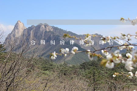 合同纠纷律师咨询价格 合同纠纷律师咨询价格