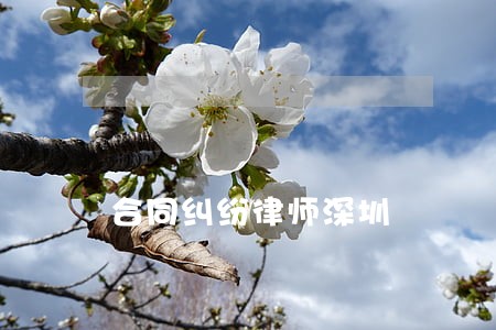 合同纠纷律师深圳