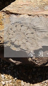 合同纠纷律师谈话 合同纠纷律师谈话
