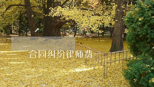 合同纠纷律师费一 合同纠纷律师费一