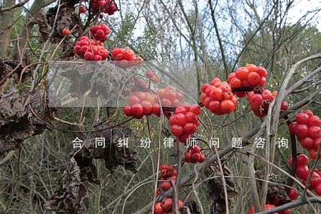 合同纠纷律师问题咨询 合同纠纷律师问题咨询