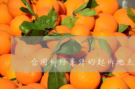 合同纠纷案件的起诉地点 合同纠纷案件的起诉地点