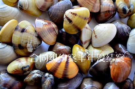 合同纠纷案半年没结案 合同纠纷案半年没结案